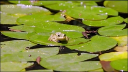 Love Island - Season 10 Episode 13